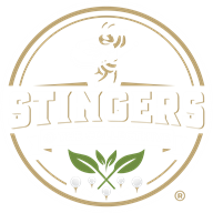 Stingers @ The Collecthive